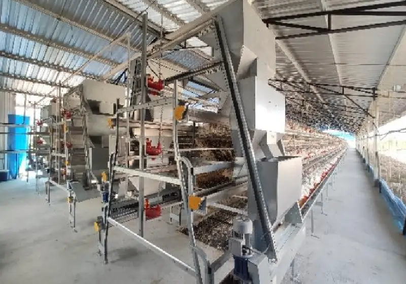 Gartech GE ULTIMA AIR layer farm equipment